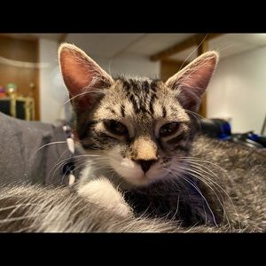 Meet your Posher, Kennedy